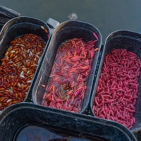 Guru Bait Boxes Orange